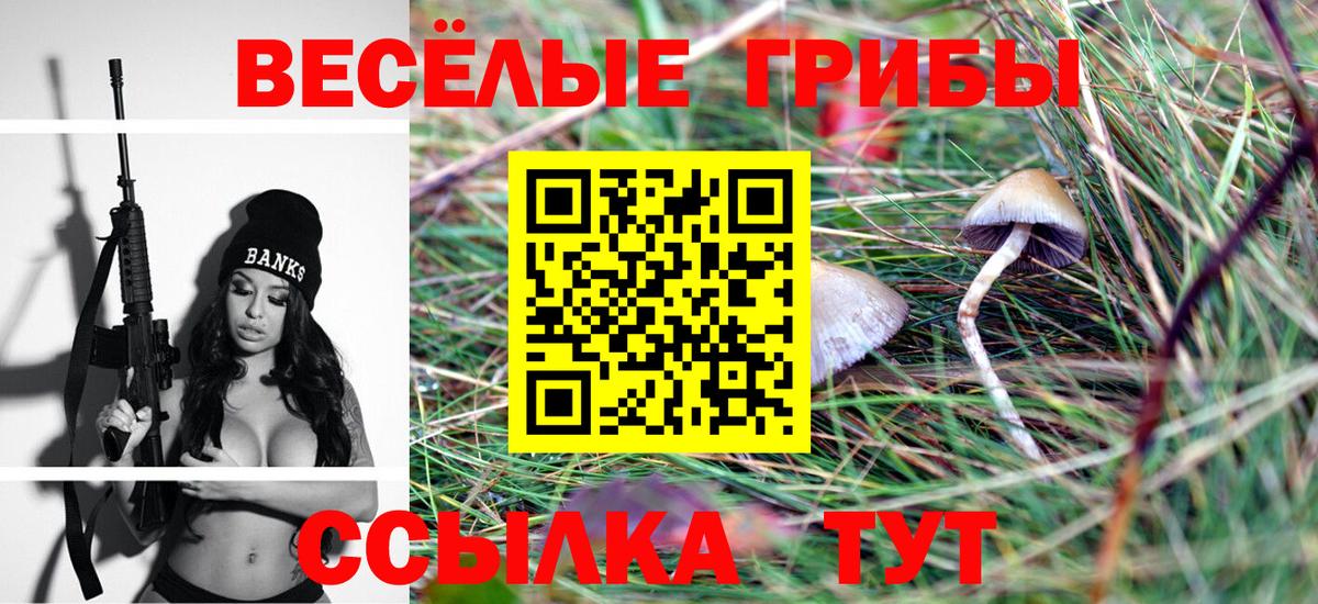 Галлюциногенные грибы мицелий  Псилоцибиновые грибы GOLDEN TEACHER  Избербаш  Вход с VPN 